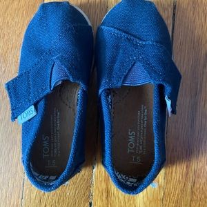 Toddler Navy Toms Size 5
